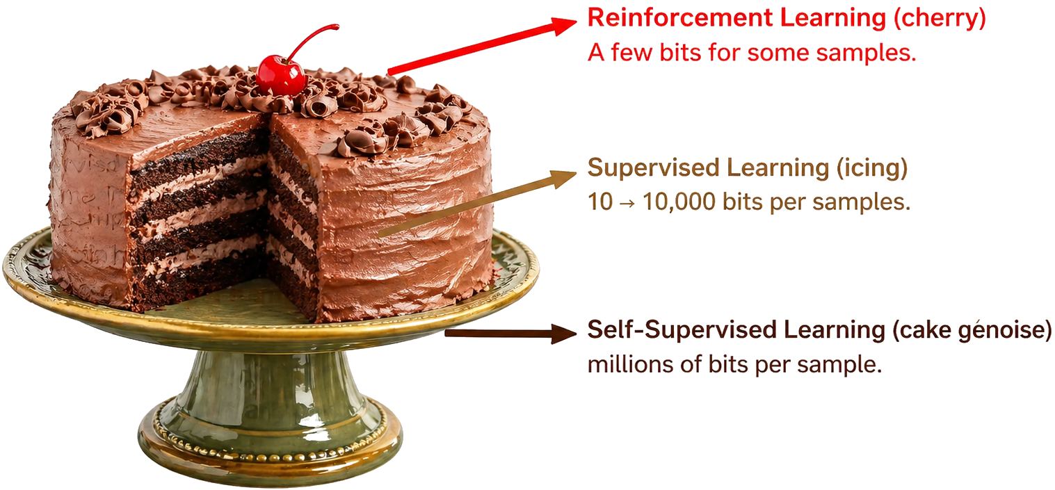 Yann LeCun's cake analogy: self-supervised learning as cake, supervised learning as icing, reinforcement learning as the cherry on top.