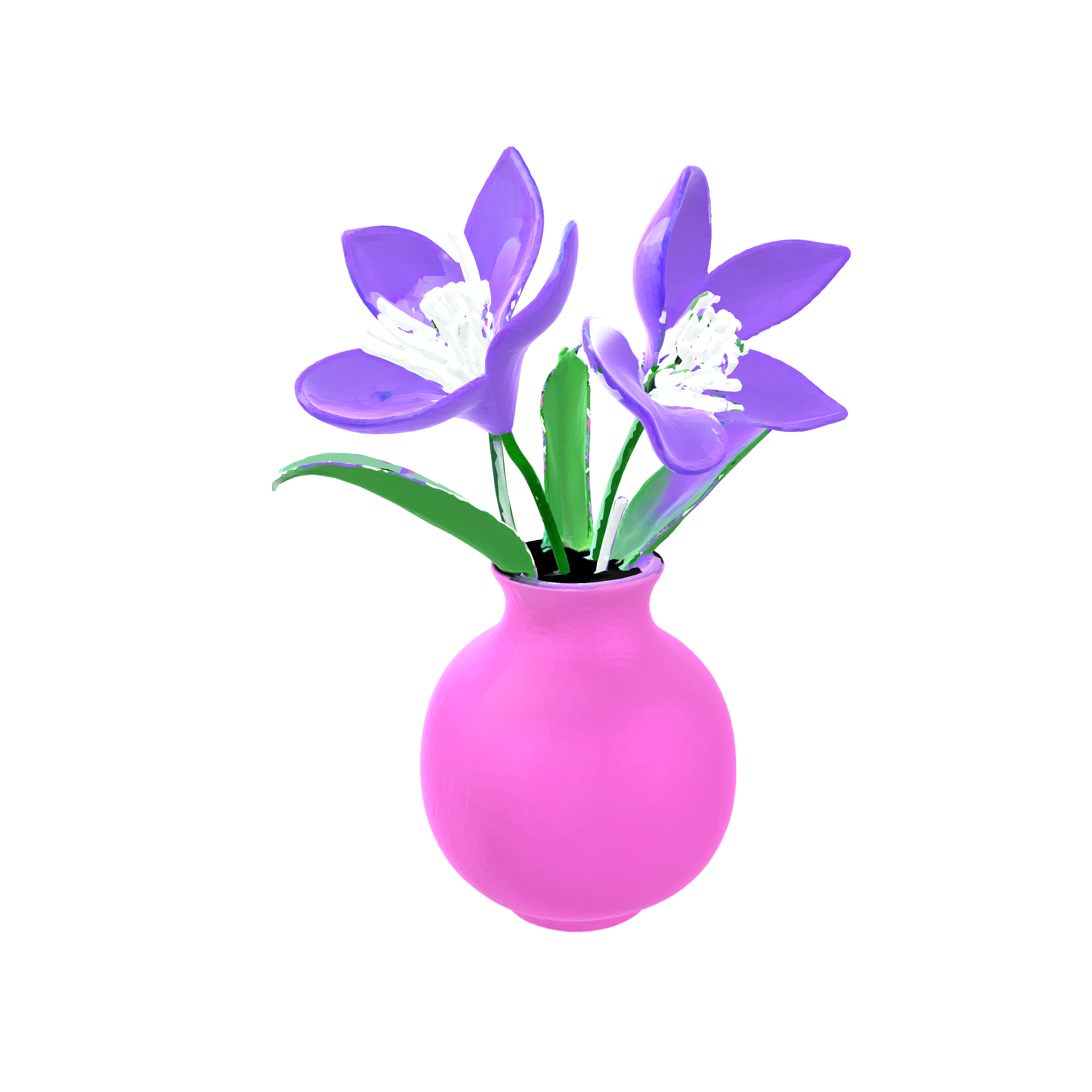 vase image